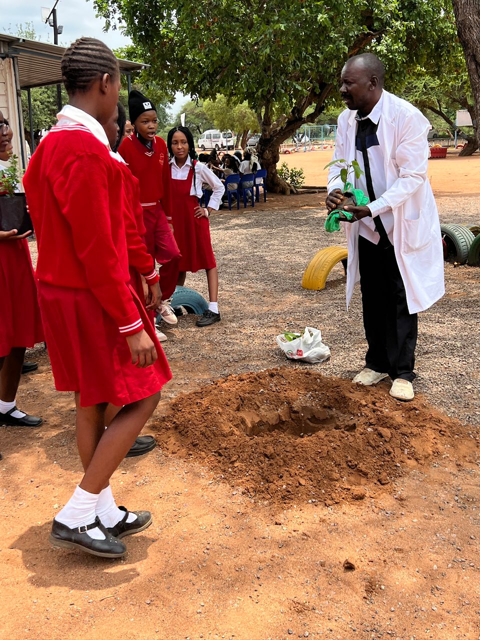 Our Teaching Experience